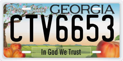 GA license plate CTV6653