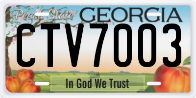 GA license plate CTV7003
