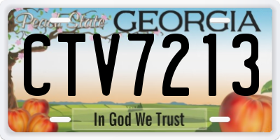 GA license plate CTV7213