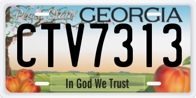 GA license plate CTV7313