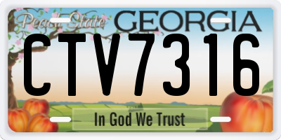 GA license plate CTV7316
