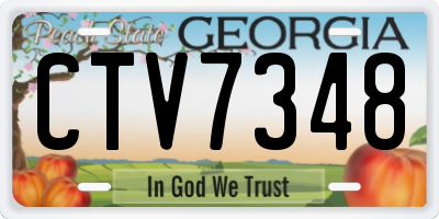 GA license plate CTV7348