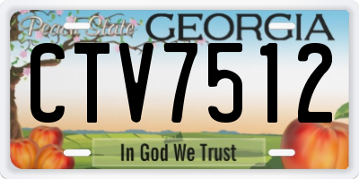 GA license plate CTV7512