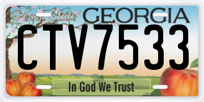 GA license plate CTV7533