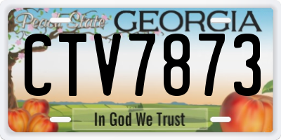 GA license plate CTV7873