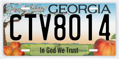 GA license plate CTV8014