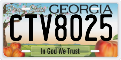 GA license plate CTV8025