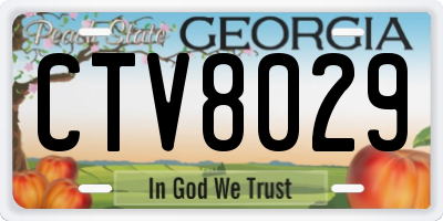 GA license plate CTV8029