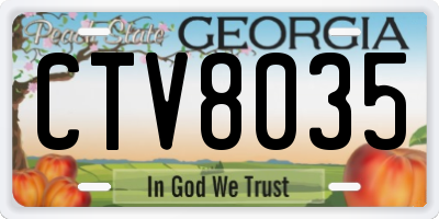 GA license plate CTV8035
