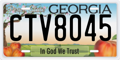 GA license plate CTV8045