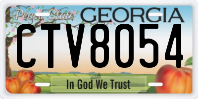 GA license plate CTV8054