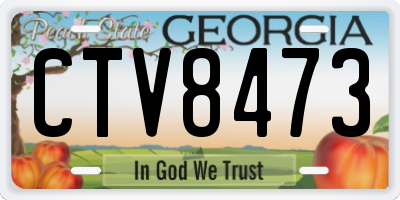GA license plate CTV8473