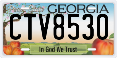 GA license plate CTV8530