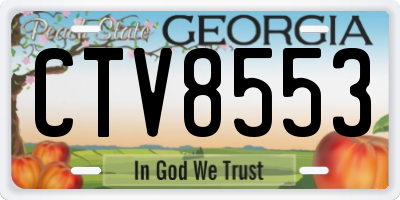 GA license plate CTV8553