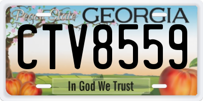 GA license plate CTV8559