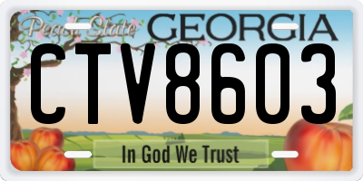 GA license plate CTV8603