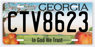GA license plate CTV8623