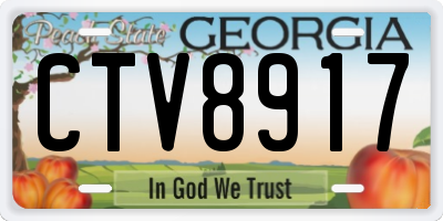 GA license plate CTV8917