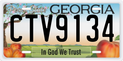 GA license plate CTV9134
