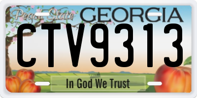 GA license plate CTV9313