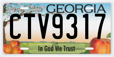 GA license plate CTV9317
