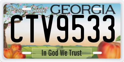 GA license plate CTV9533
