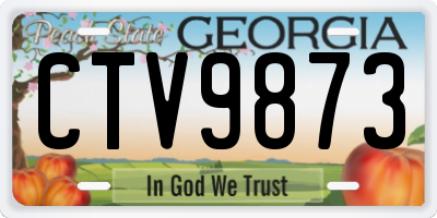 GA license plate CTV9873