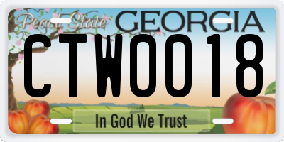 GA license plate CTW0018