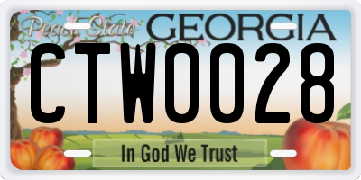 GA license plate CTW0028