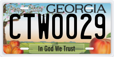 GA license plate CTW0029