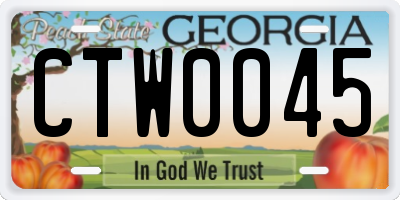 GA license plate CTW0045
