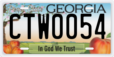 GA license plate CTW0054