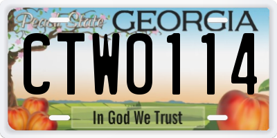 GA license plate CTW0114