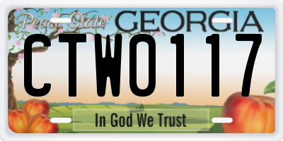 GA license plate CTW0117