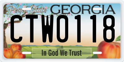 GA license plate CTW0118