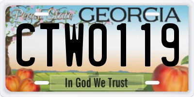 GA license plate CTW0119