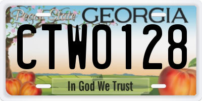GA license plate CTW0128