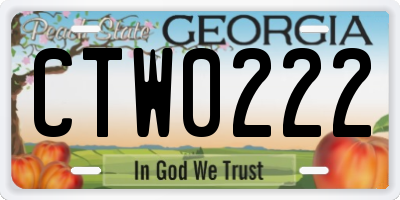 GA license plate CTW0222