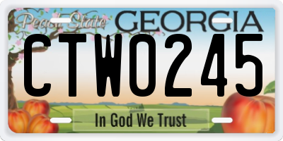 GA license plate CTW0245