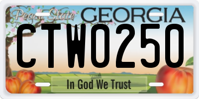 GA license plate CTW0250