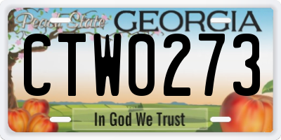 GA license plate CTW0273