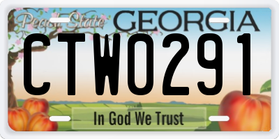 GA license plate CTW0291
