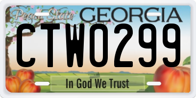 GA license plate CTW0299