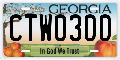 GA license plate CTW0300