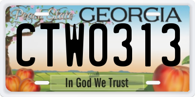 GA license plate CTW0313