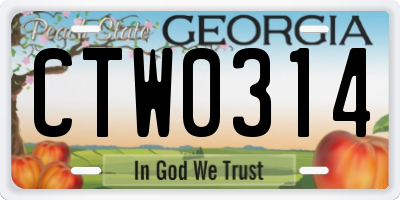 GA license plate CTW0314