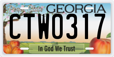 GA license plate CTW0317