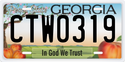 GA license plate CTW0319