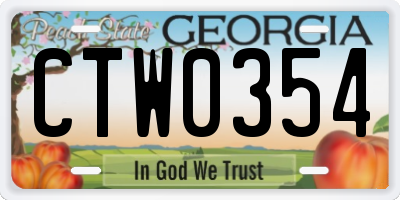 GA license plate CTW0354