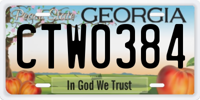 GA license plate CTW0384